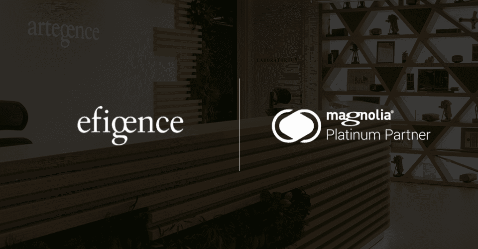 Efigence boost clients’ digital environment with Magnolia CMS on a platinum level